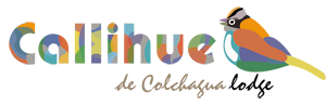 logotipo-callihue-3-def